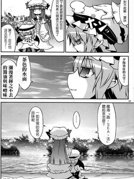 (C78) [乃屋 (ノヤマコト)] 東方塩不足 (東方Project)[空空+天子漢化]_30