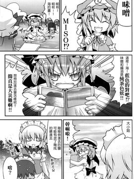 (C78) [乃屋 (ノヤマコト)] 東方塩不足 (東方Project)[空空+天子漢化]_21