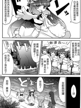 (C78) [乃屋 (ノヤマコト)] 東方塩不足 (東方Project)[空空+天子漢化]_25