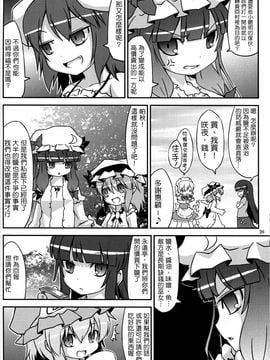 (C78) [乃屋 (ノヤマコト)] 東方塩不足 (東方Project)[空空+天子漢化]_24