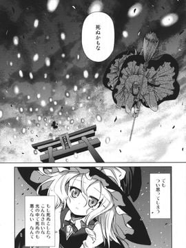 (例大祭12)[あさつき堂]Flying Vanilla Girl 後編 (東方Project)__008