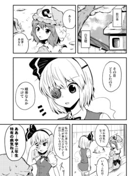 [マキシマムディアッカ (麒麟たろう)] 中二病は通過儀礼 (東方Project)_42848886_p04