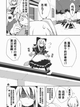 (C78) [森の蟲 (もりのほん、N2FC)] オモイト Eins (東方Project)[不人气汉化]_014