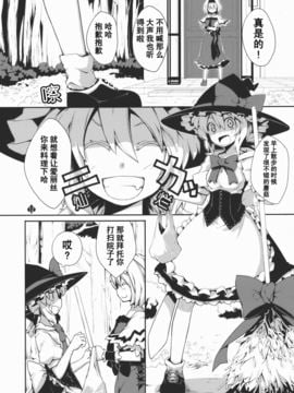 (C78) [森の蟲 (もりのほん、N2FC)] オモイト Eins (東方Project)[不人气汉化]_012