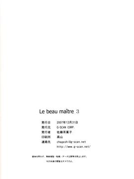 [G-SCAN CORP. (佐藤茶菓子)] Le beau maître 3 (ゼロの使い魔)_025