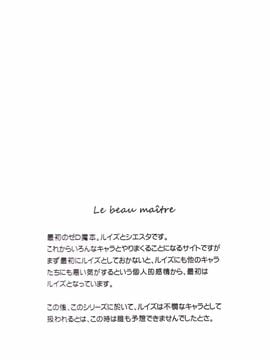 (C71) [G-SCAN CORP. (佐藤茶菓子)] Le beau maître (ゼロの使い魔)_025