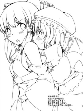 (例大祭11) [カタミチキップ (御影石材)] ラブレターフロム… (東方Project)_022