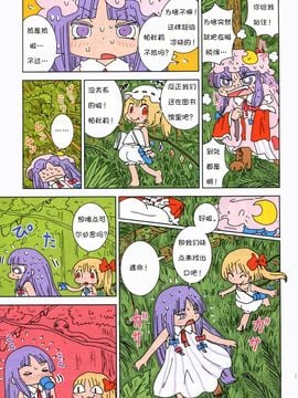 (C84) [からあげ屋さん (からあげ太郎)] ジャングルパッチェさん (東方Project)_010