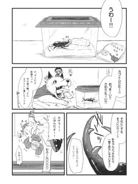 (C89) [02 (原崎)] 針妙丸VSコーカサスオオカブト (東方Project)_02