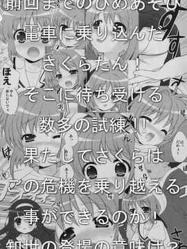 (C81) [しましましすてむ (なぎさわゆう)] ひめあそび総集編改 (カードキャプターさくら)_23