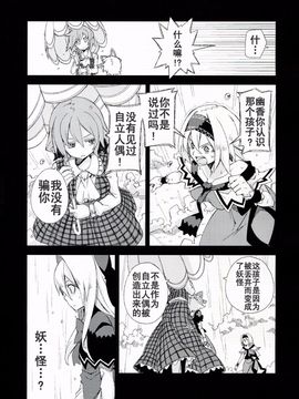 [森の蟲 (もりのほん、N2FC)] 思念之人 Vier (東方Project)[不人气汉化]_10