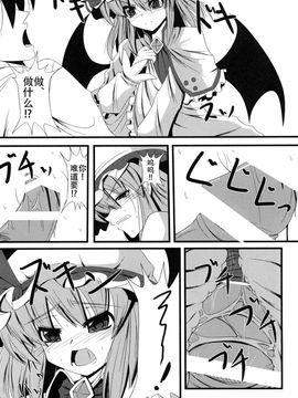 (C81) [大吟醸まっしぐら (ドブロッキィ)] ああっおぜう様 (東方Project)  [CE汉化组]_08