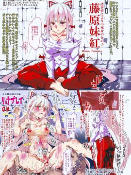 (紅楼夢11) [にゅう工房 (にゅう)] 自由風俗幻想郷 フルカラー (東方Project)_13