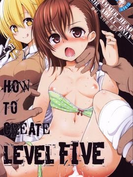 [HAMMER_HEAD (真壁吾郎)] HOW TO CREATE LEVEL FIVE (とある魔術の禁書目録)_002