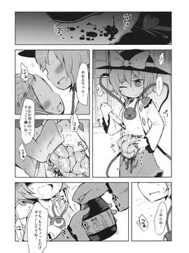 (例大祭13) [02 (原崎)] FREAKS OUT! (東方Project)_15