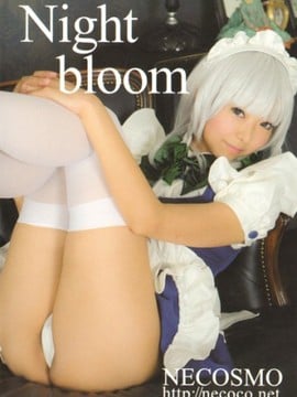 Night bloom