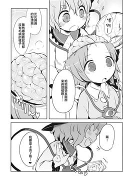 (例大祭13) [02 (原崎)] FREAKS OUT! (東方Project) [沒有漢化]_10