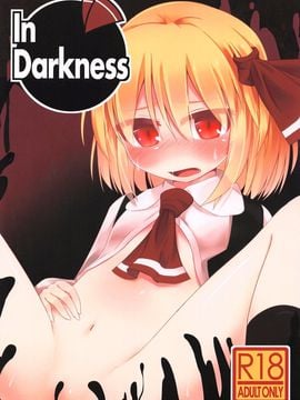 (例大祭10) [らーめんらいす (らじー)] In Darkness (東方Project)