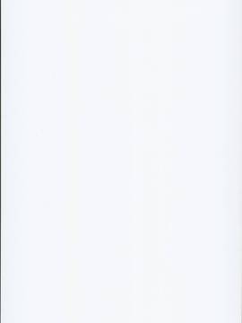 (C90) [LemonMaiden (蒼海) (Aoi Masami)] Kyuusei Maryoku Chuudoku 3 (Fatekaleid liner Prisma Illya) [Chinese] [MEGA巨莖怪漢化]_0001