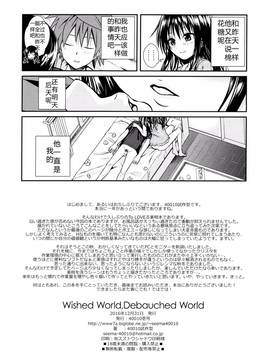 [佳奈助汉化组] (C91) [40010壱号 (40010試作型)] Wished World,Debauched World (To LOVEる -とらぶる-)_021