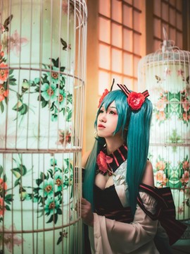 螺旋猫异国歌姬版“初音未来”COS_0064