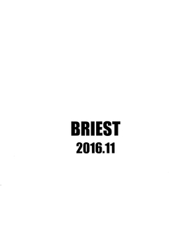 (サンクリ2016 Autumn) [BRIEST (八嶋テツヤ)] T2R09 (ハイスクール・フリート)_010