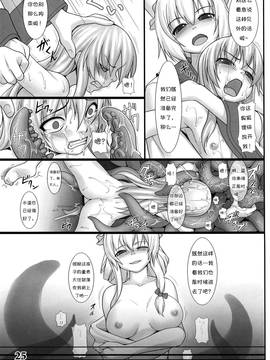 [诱骗者迪卡伊个人汉化] (例大祭10) [空汚染軟体猫 (よろず)] CENSORED II (東方Project)_25_img05292013_0022