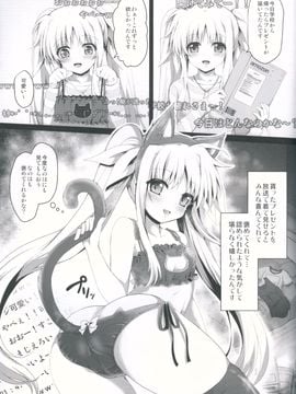 (C90) [おほしさま堂 (GEKO)] ●コ生主フェイトちゃん恥辱の生放送 (魔法少女リリカルなのは)_05