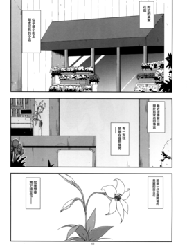 (コミティア116) [行脚堂 (しけー)] 弄花 [無邪気漢化組]_05_MJK_17_T591_005