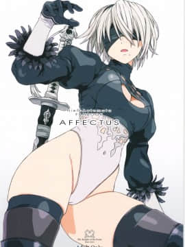 [final個人漢化] (C92) [パンツ騎士団 (辻武司)] AFFECTUS (NieR:Automata)_023f