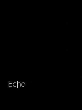 [CE汉化组] (我、夜戦に突入す! 2) [星野生花店 (ほしの壱夜)] ECHO (艦隊これくしょん -艦これ-)_CE_1000_003