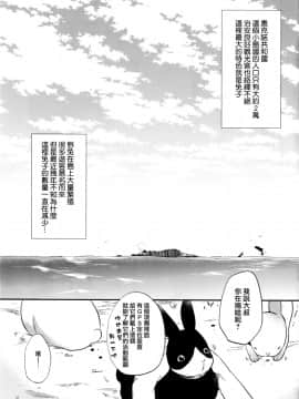 (C92) [でぃえすおー (ももこ)] RabbitParadise～afterdays～ [中国翻訳]_02