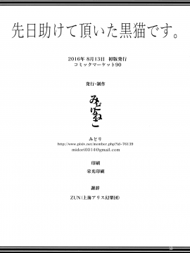 [oo君個人漢化](東方合同イベント 2017新春!) [みどりねこ (みどり)] 先日助けて頂いた黒猫です。 (東方Project)_020