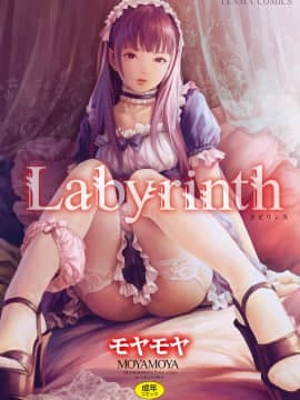 [4K掃圖組][モヤモヤ] Labyrinth