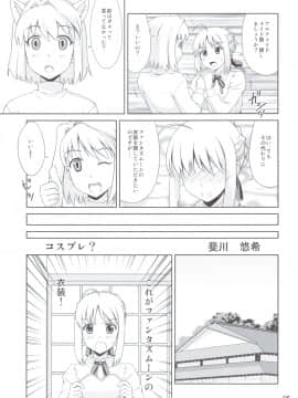 (C82) [PNOグループ (山本竜助, 斐川悠希, はせ☆裕)] Carni☆Phanちっくふぁくとりぃ 2 (TYPE-MOON)_04