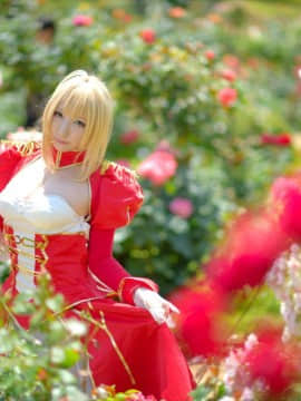 (C93) [Shooting Star's (Saku)] Nero Collection_0020