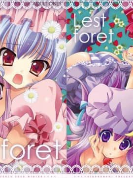 [绯色汉化组] (C75) [きのこのみ (kino, konomi)] Lest foret (東方Project)_025