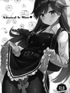 (COMIC1☆13) [TIES (Takei Ooki)] Admiral Is Mine (Kantai Collection -KanColle-) [Chinese] [嗶咔嗶咔漢化組×無毒漢化組]_02