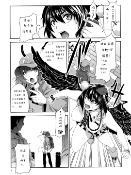 (例大祭8) [ありすの宝箱 (水龍敬)] 東方幻想崩壊 (東方Project) [中国翻訳]_08