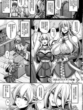 [一弘] 愛嬢の淫辱エルフ[贝尔西行寺个人汉化]_007