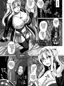 [一弘] 愛嬢の淫辱エルフ[贝尔西行寺个人汉化]_107