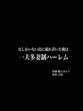 (同人CG集) [浪漫書店] 女しかいない島に流れ着いた俺は一夫多妻制ハーレム